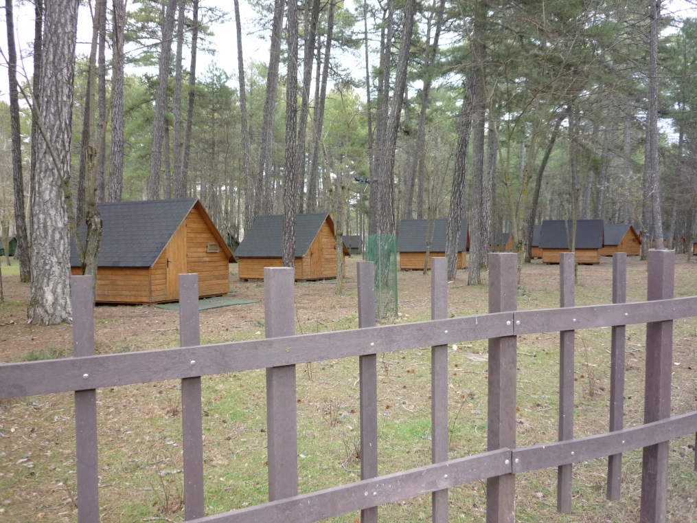 Campamento piloto: JUVENIL “PALANCARES”, monumento natural de Palancares-Tierra Muerta, Cuenca