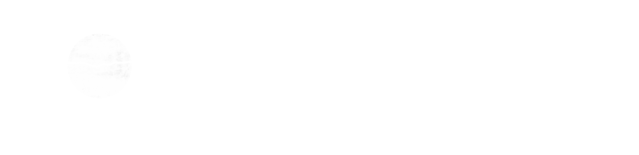 logo true access
