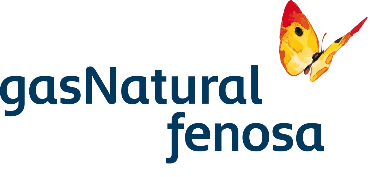 Gas-Natural-Fenosa-Leer-contador